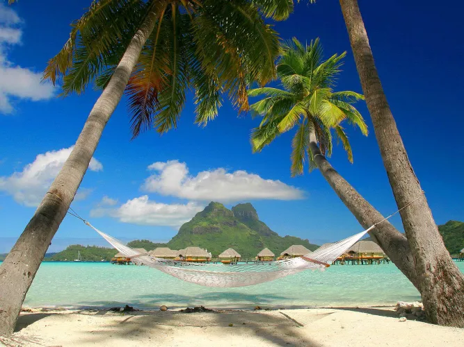 Thumbnail Beach Bliss: Embracing the Sun, Sea, and Wild Air by StevenLucasss