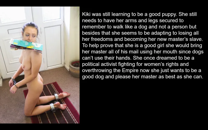 Thumbnail Puppy Slave Training Guide by Petgirl1212 in the MaledomEmpire Category