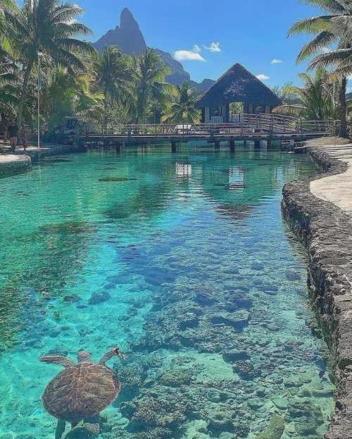 Thumbnail Bora Boran: A Beach Paradise by Hot_Turnover7465 | Must-Read for Beach Lovers
