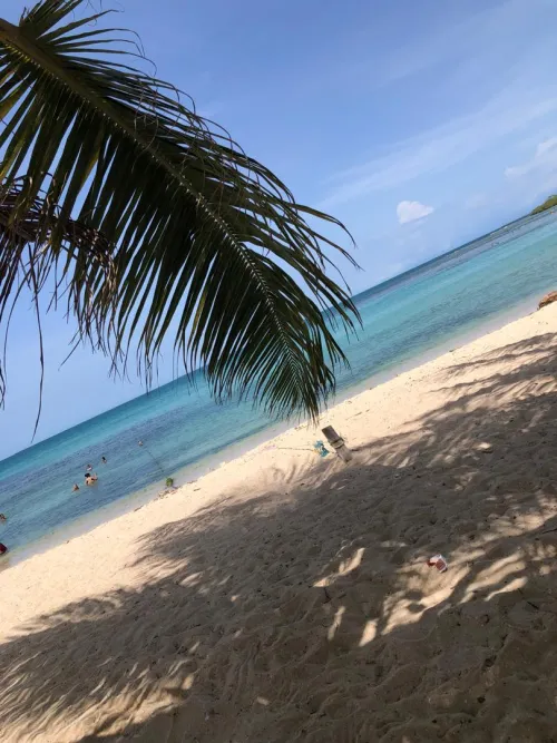 Thumbnail Ultimate Beach Guide: Nothing Better Than Going to the Beach by Amandagirly