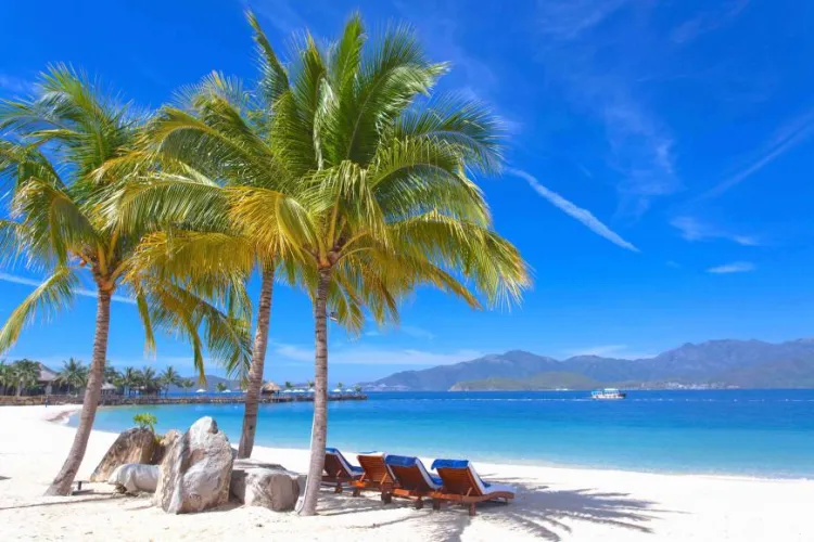 Thumbnail Discover Serenity: Escaping to Beach Bliss with Curvy_gaal