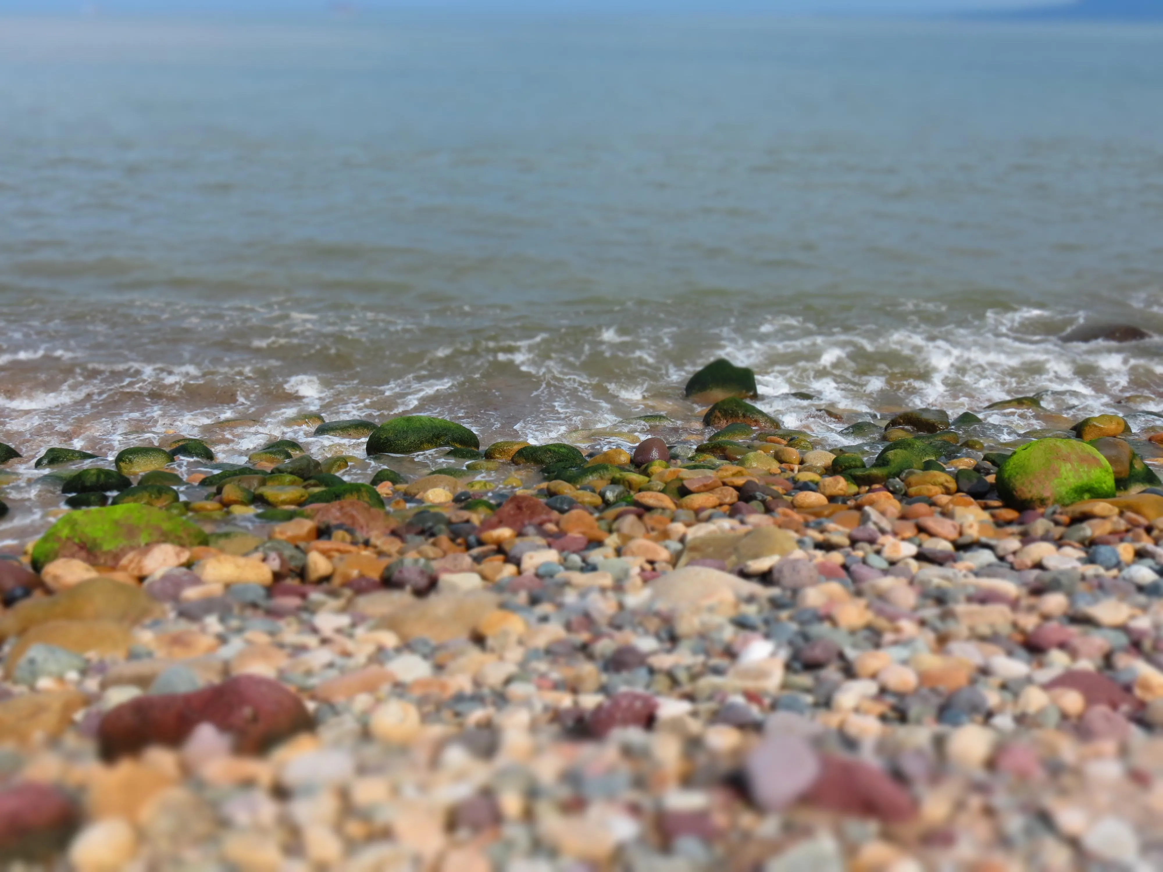 Rock beach Puerto Vallarta by Amazing-Edu2023