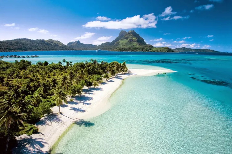Thumbnail Discover Blissful Beach Living with 'On the Beach You Can Live in Bliss' by Ashleyy