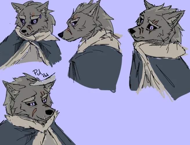 Thumbnail Furry Art Showcase: The Best Boy Sketches by RennoFox