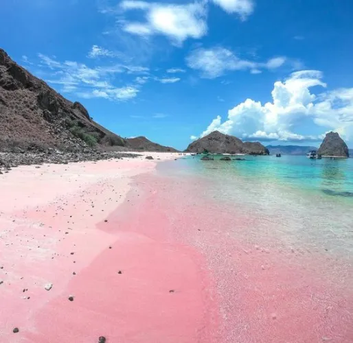 Thumbnail Pink Beach Samar Leyte: A Stunning Destination Worth Exploring by PaleLetter8603 (beach category)