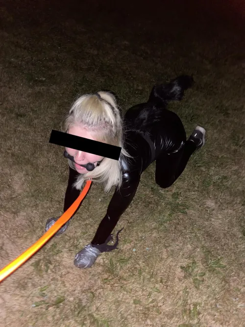Thumbnail Exploring Public Petplay: Taking My Pet for a Late-night Walk | kinkiestcouplee