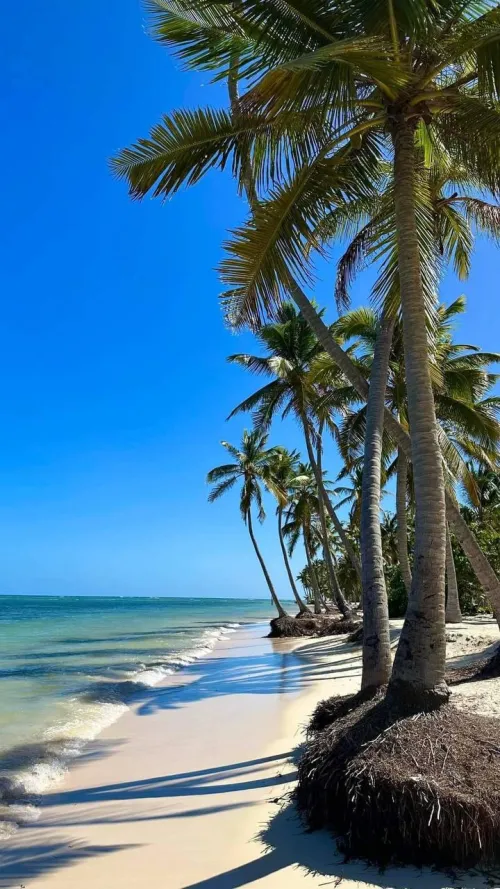 Thumbnail Captivating Beach Beauty: A Natural Masterpiece by erotic_kayla