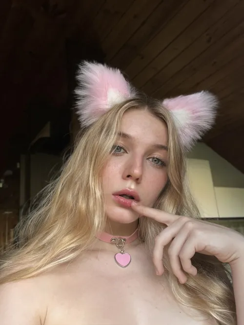 Thumbnail Exploring the Beauty of a Pink Collar: A Review by naughty_purrs_ in the Collared Category