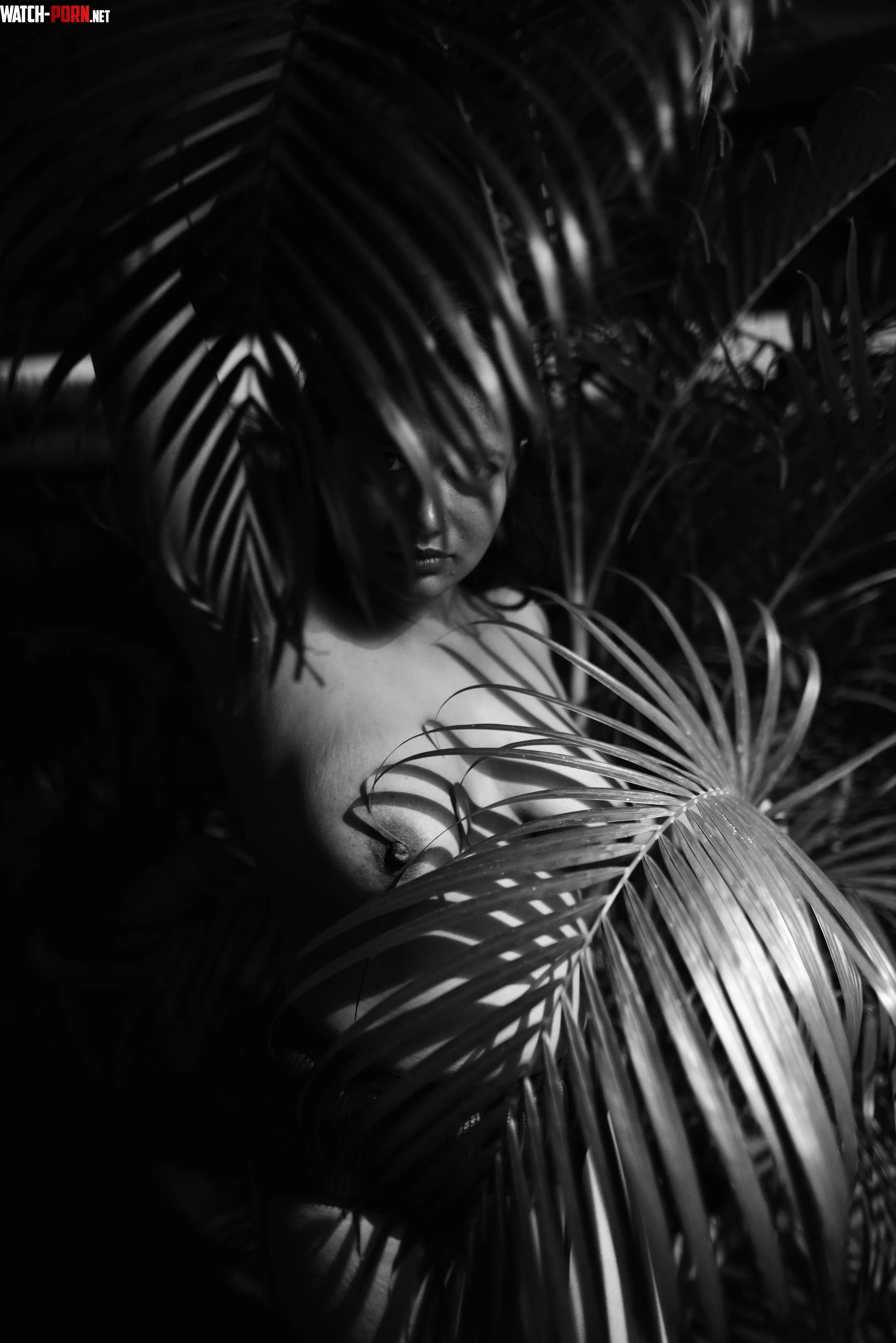 Hide and seek Shot by Ashwin  by familfaiza