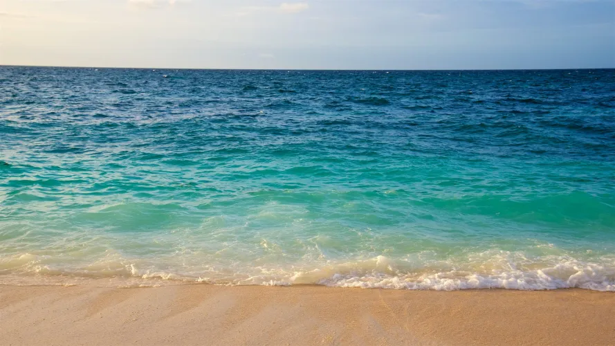 Thumbnail 5 Ways Visiting the Beach Can Help Calm Your Stress by Checky Baee
