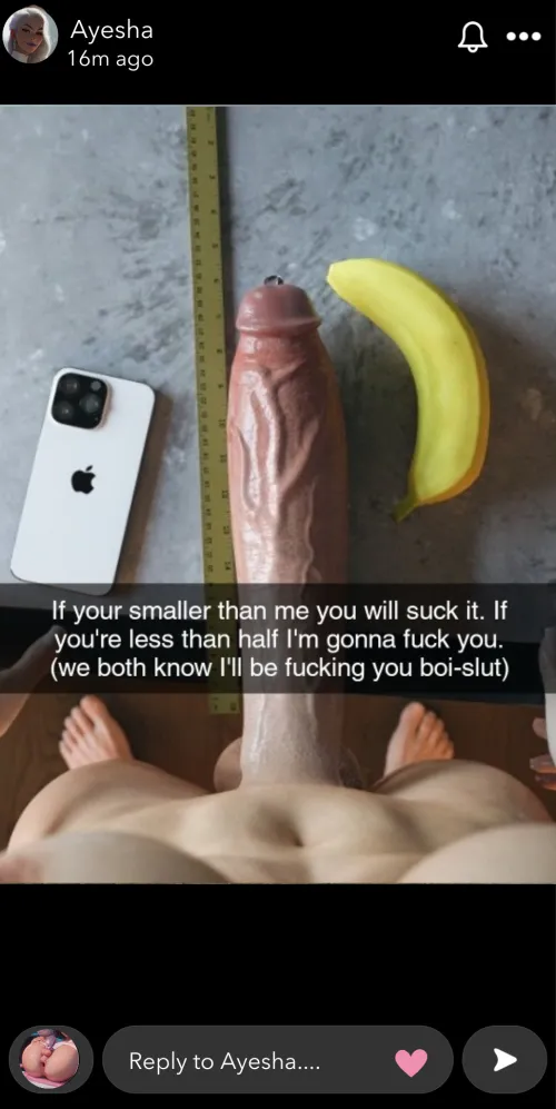 Thumbnail The Mistress's Message: Futa on Male Size Comparison with Implied Oral and Anal in Ayeshaverse by SheWillDestr0yYou