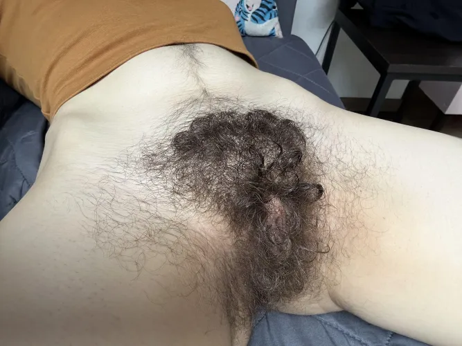 Thumbnail Embracing My Natural Beauty: A Candid Discussion About Body Hair | Creative-Strength-17 | The Full Bush Category