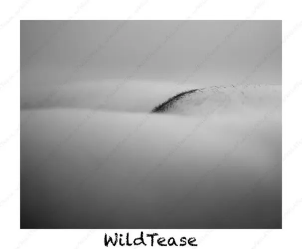 Thumbnail Title: Exploring the Grassy Hill OC by WildTease in the PussyMound Category