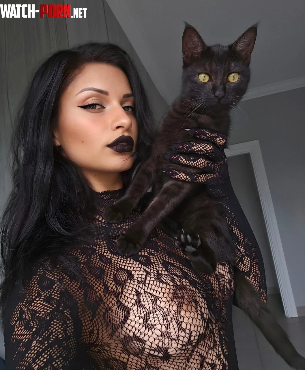 Meow  by Jane_Romeno
