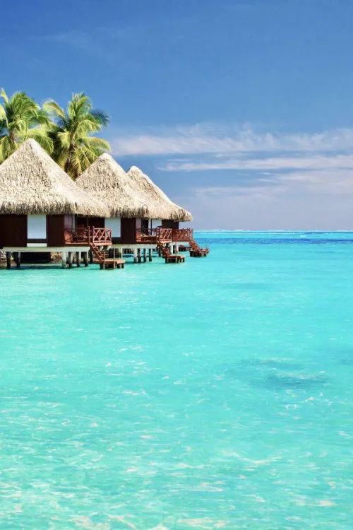 Thumbnail Discover the Beauty of Bora Bora: A Beach Experience by EnzoSMO