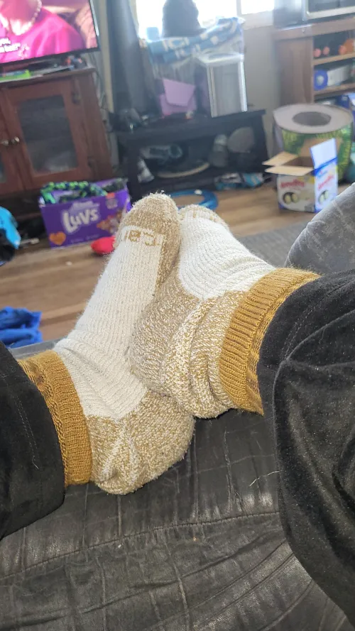 Thumbnail Socksgonewild: Exploring the Allure of Wild Socks by xPennywiseQueenx