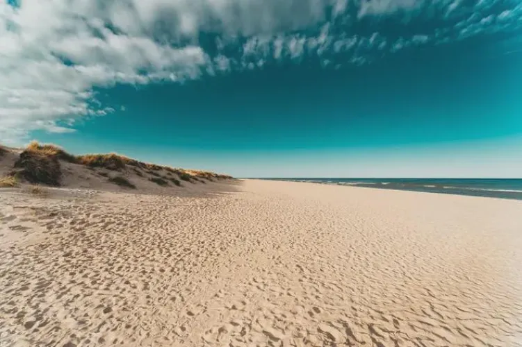 Thumbnail Salty Hair and Sandy Toes: A Beach Escape by StevenLucasss