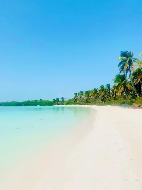 Thumbnail Exploring the Beauty of Isla Contoy, Mexico – A Beach Lover's Paradise by VeroCar5