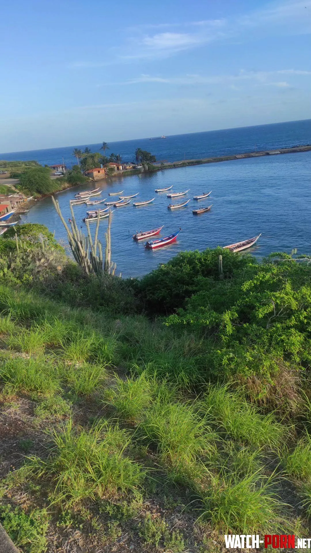 La caranta isla de margarita Venezuela  by manudiosa