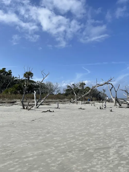 Thumbnail Unveiling the Mysterious Ghost Beaches of the Carolinas by pbsaysyes