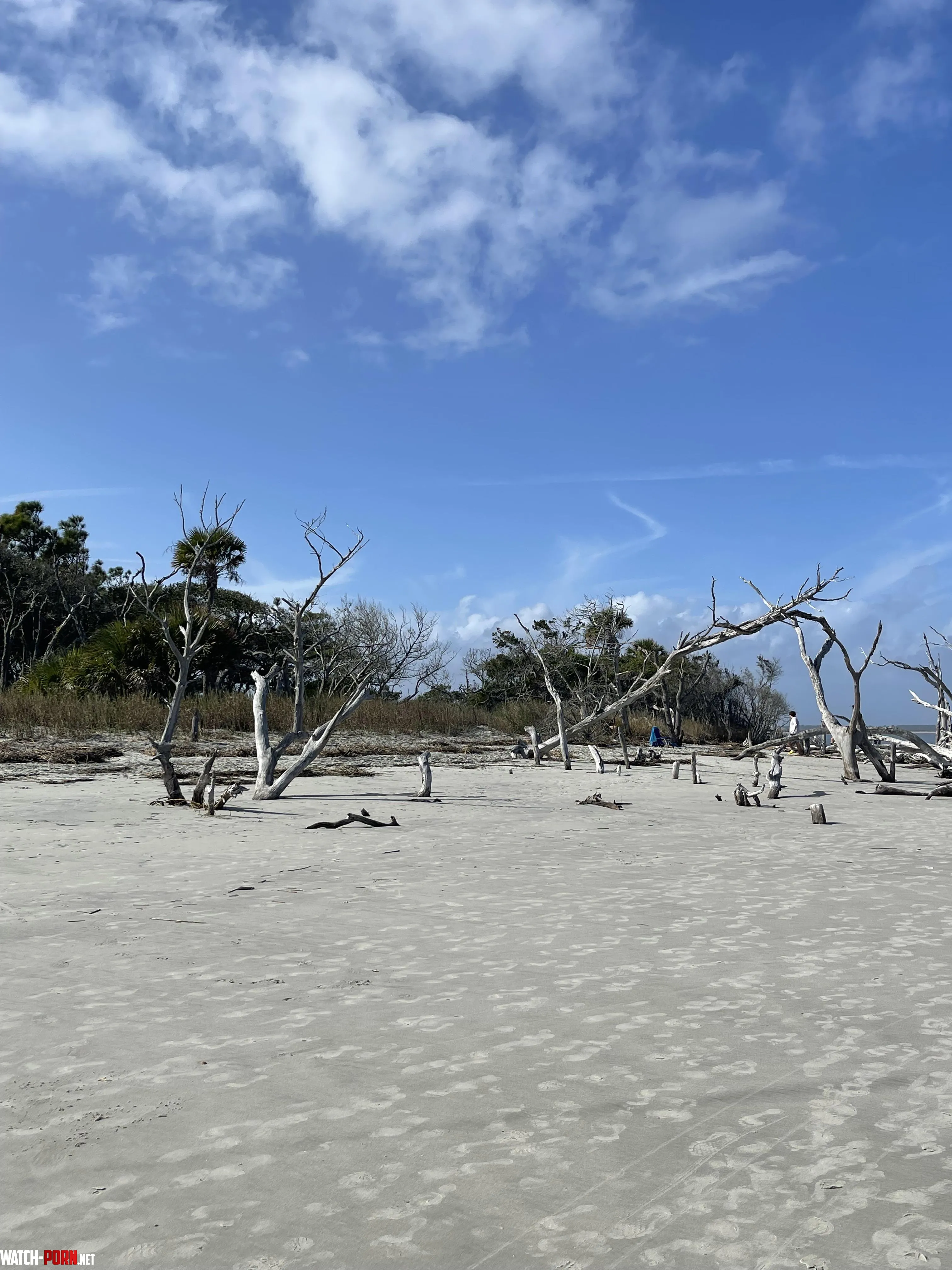Ghost beaches in the Carolinas OC by pbsaysyes