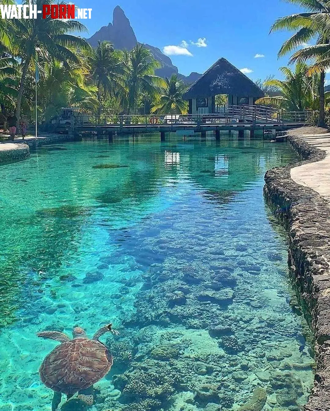 Who would you take with you to enjoy a week in bora bora by Mosang06