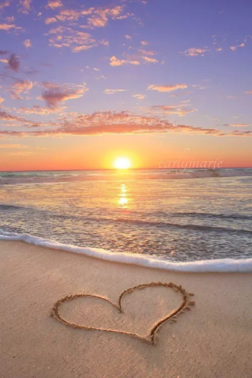 Thumbnail Discover Paradise by the Beach: A Captivating Book by Jimenahot