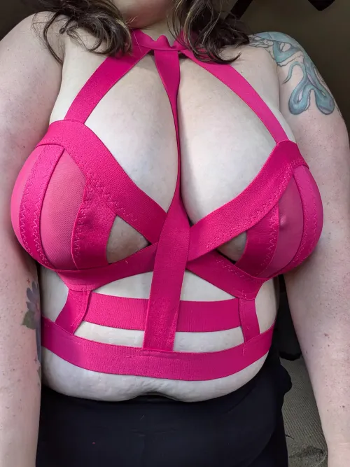Thumbnail Pretty in Pink: A BBW Romance Novel by SweetLylaLee - Book Review and Summary