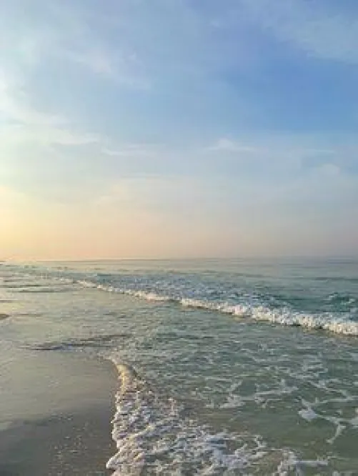 Thumbnail Ultimate Beach Guide: Embracing the Sun and Waves by Appropriate_Milk_966