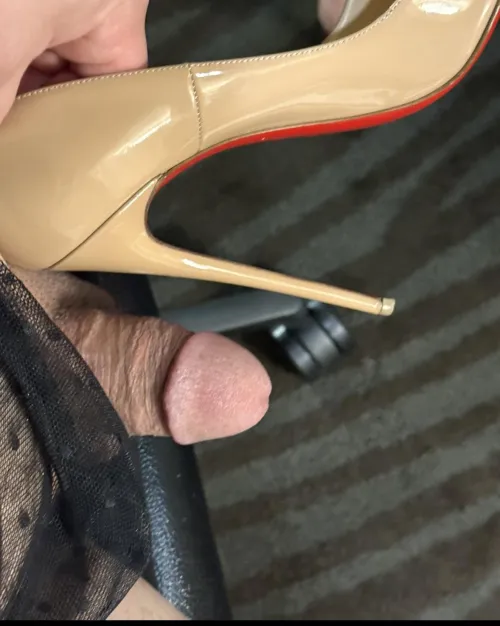 Thumbnail Title: Exploring the Dynamics: My Asian Cock Compared to My GF's 800 Louboutin Heels in Asiansissification Context by Gucciheels