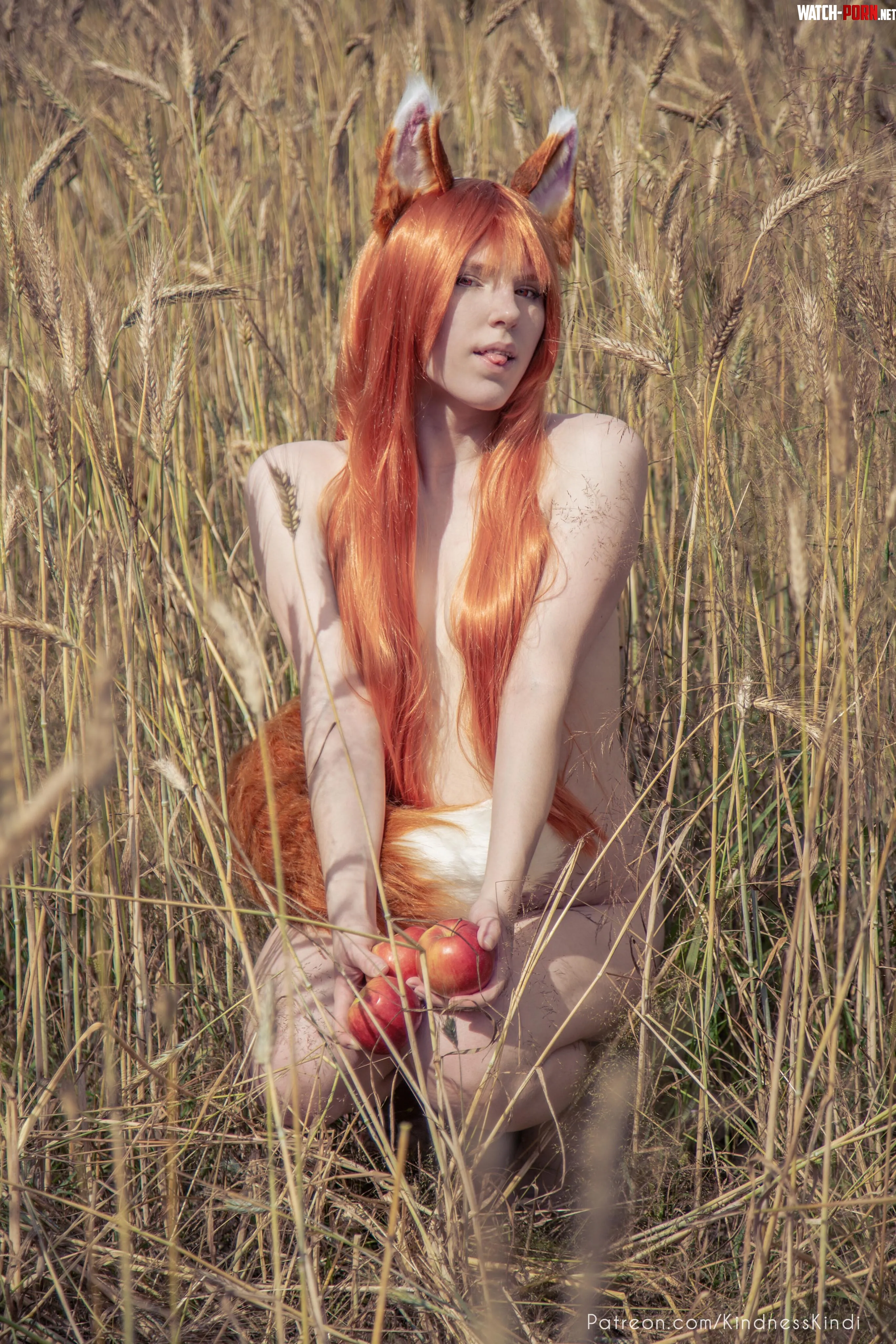 Holo by KindnessKindi Spice amp Wolf by kindnesskindi