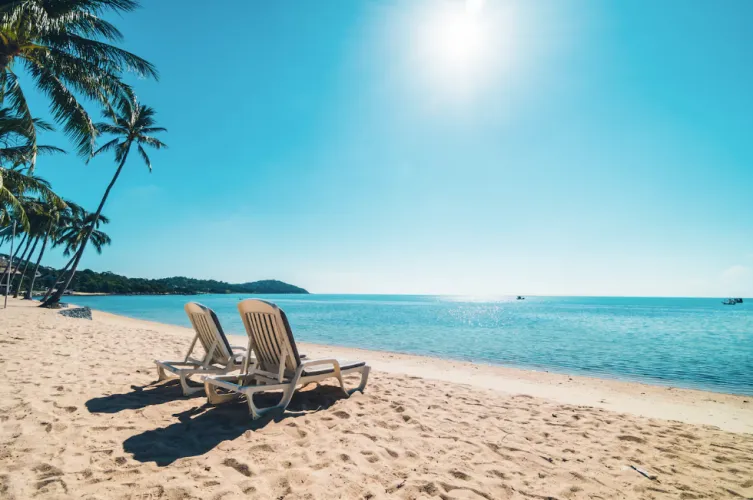 Thumbnail Ultimate Beach Day Essentials for a Perfect Day at the Beach by Aeasala