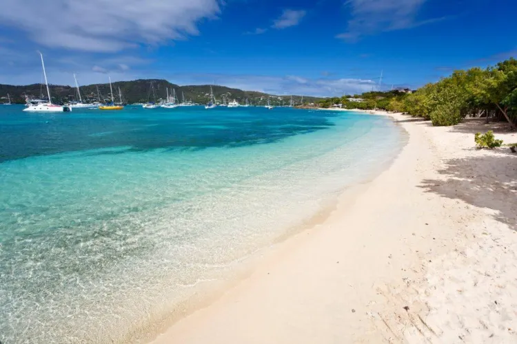 Thumbnail Beach Beauty: Explore the Stunning Seascapes by adurham1373