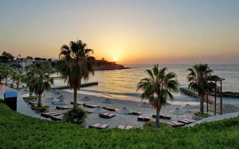 Thumbnail Palm Trees Silhouetted by a Stunning Sunset at the Beach by nabaomi