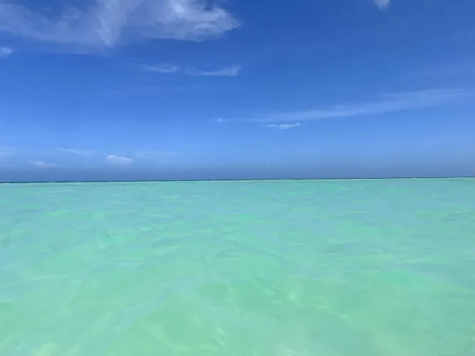 Thumbnail Exploring the Stunning Beaches of Cuba by Author max10th