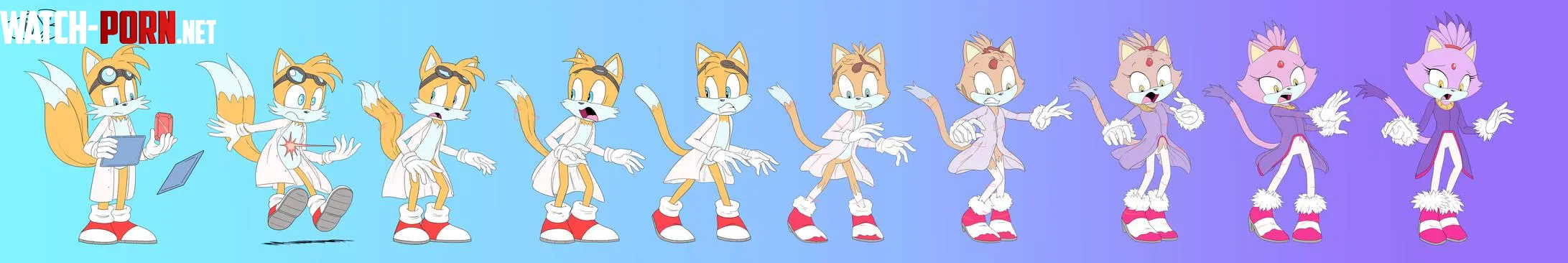 Tails to blaze by jowyb mtf by BrainApprehensive396