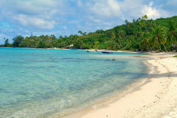 Thumbnail Ultimate Guide to Matira Beach Bora Bora: A Hidden Gem Unveiled by FlyAnnual3336