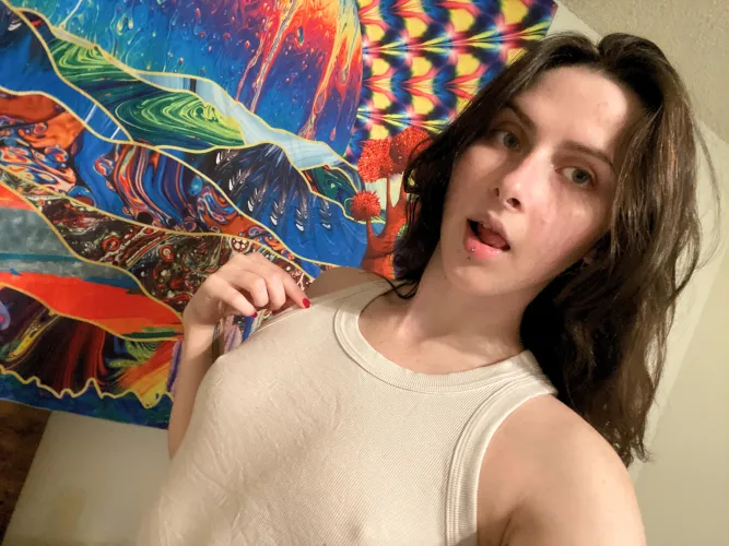 Thumbnail Exploring the Fascinating World of Morning Pokies with anymoreofthatgumace