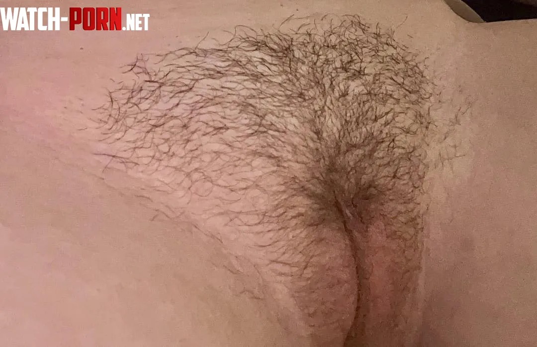 perfectly trimmed  by torontoblondie6