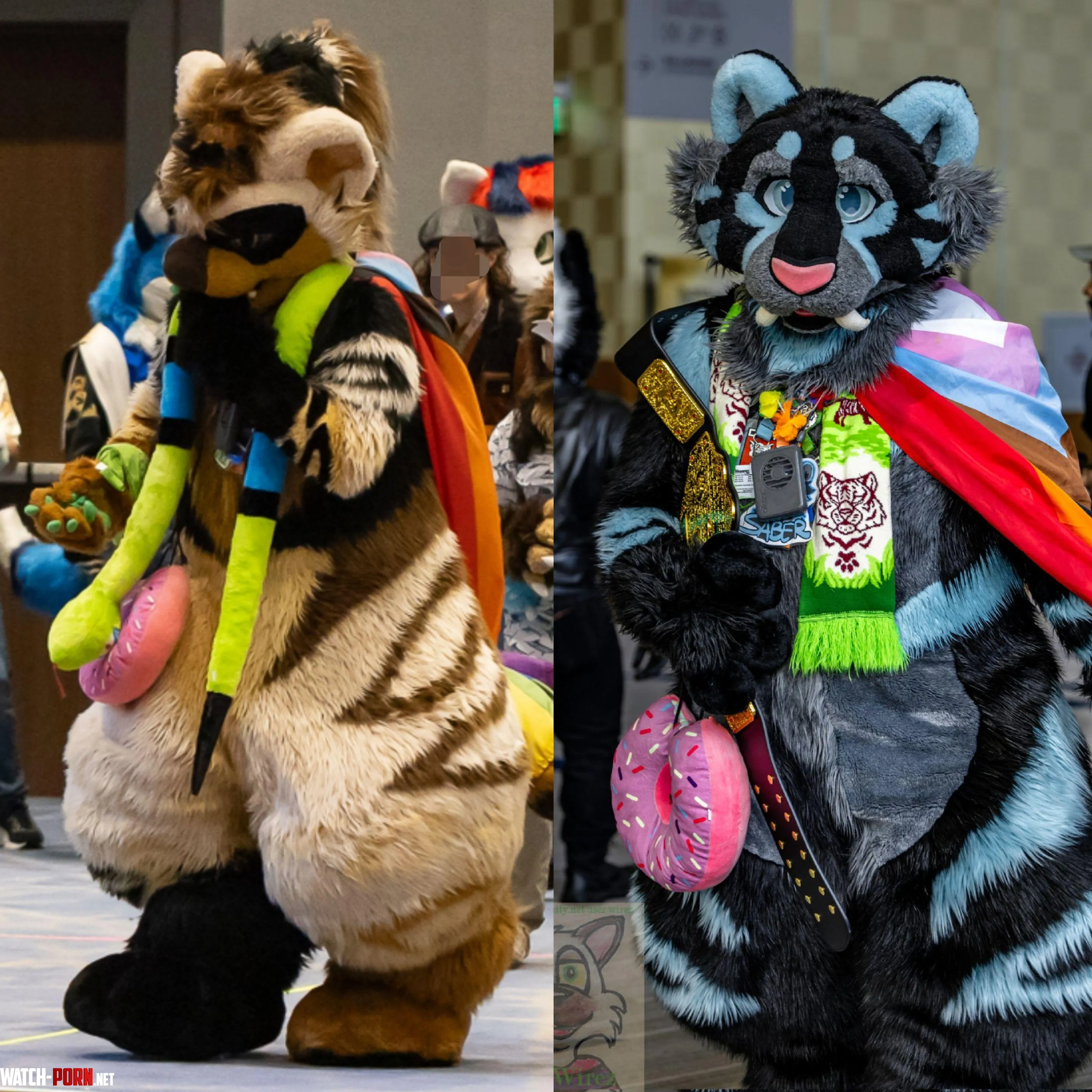 Saber  Eli Fursuit Friday Photo by MaestroIgnitex