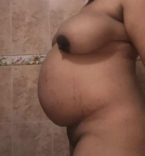 Thumbnail Pregnant Porn: Riding at 28 Weeks - Author Defiant_Tax_6603