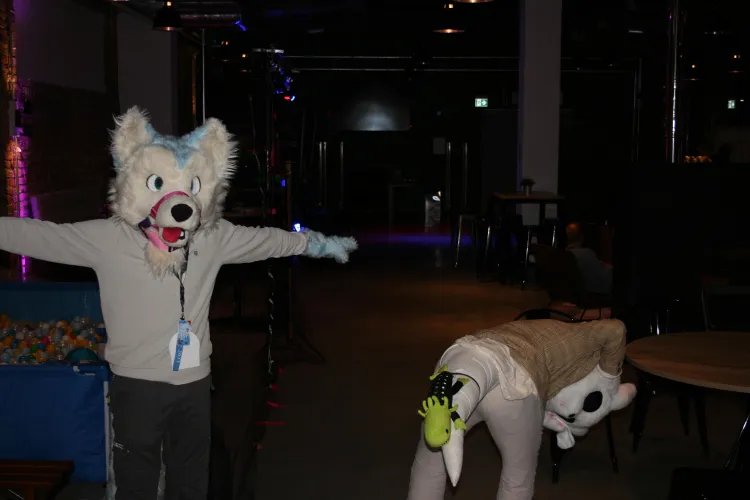 Thumbnail T-Pose Intensifies: Exploring Furry Culture with Highest_five