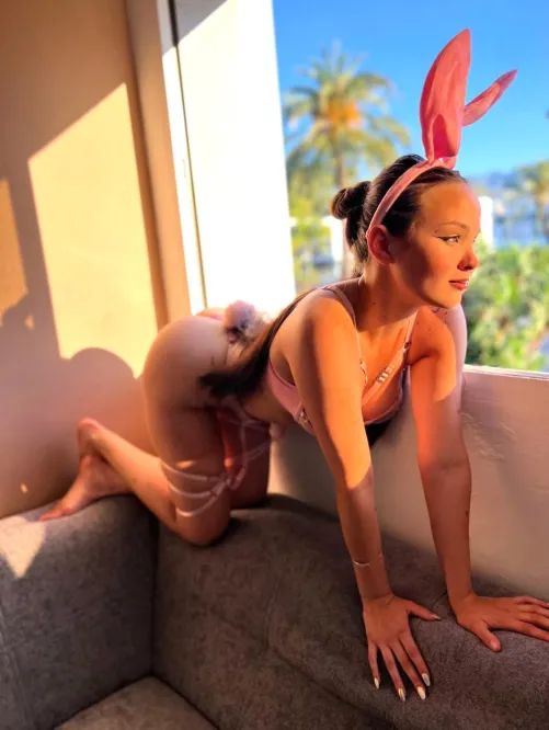 Thumbnail Naughty Bunny Alert: Dive into BunnyyFunnyy's Irresistible BunnyGirl Vibes!