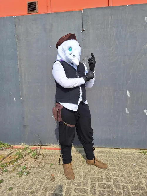 Thumbnail Furry Admiral-huzky's First Fursuit Outing: A Fun Spin Recently