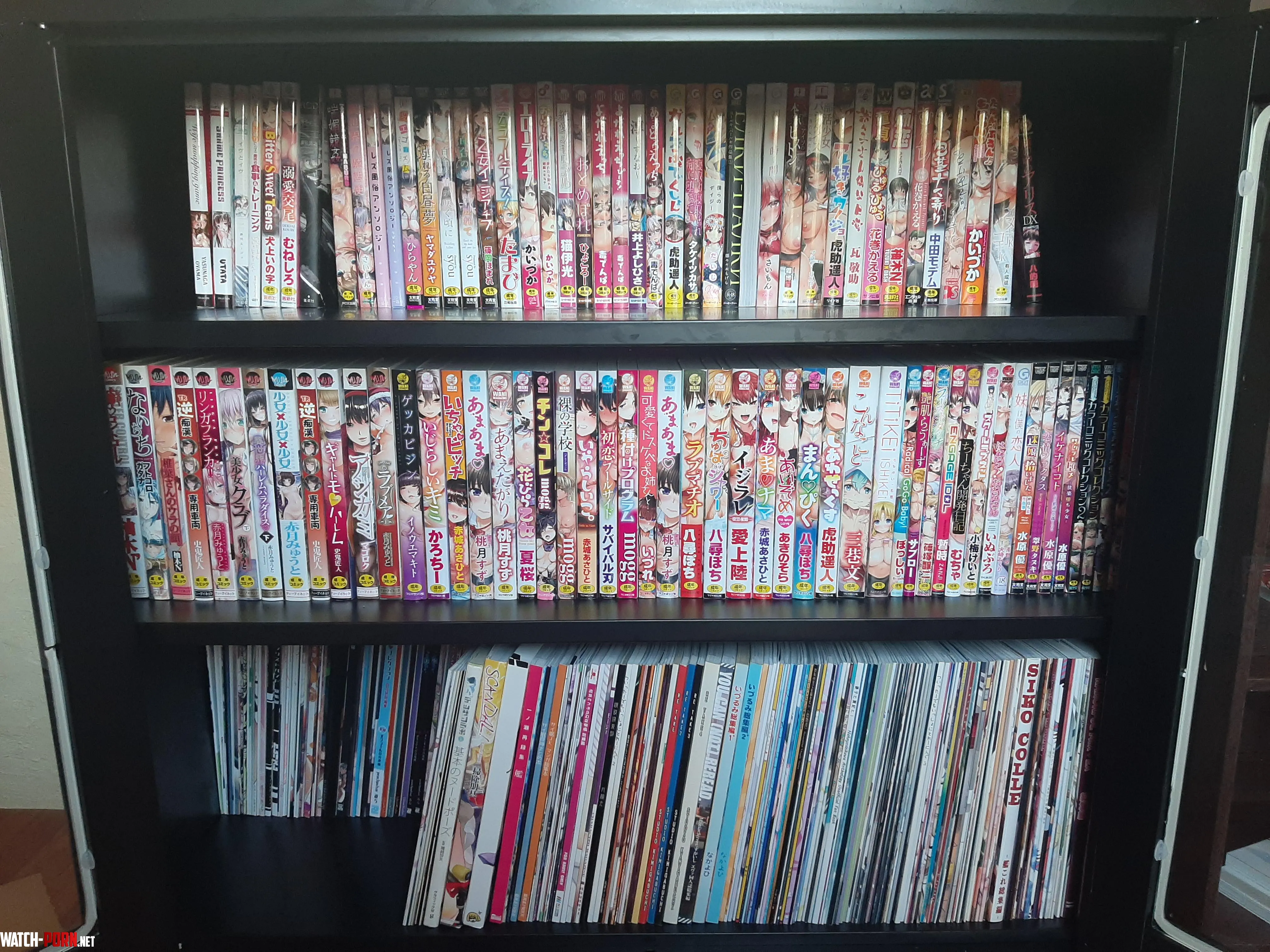 Which application do you use to list the doujins you own by Iwerzhon