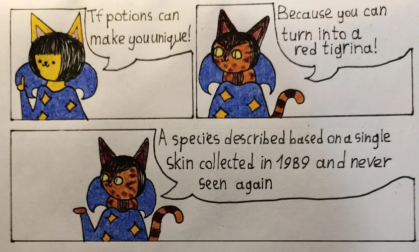 Thumbnail Red Tigrina Art by MrMoor2007: Fantastic Furry Creations
