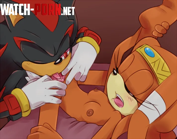 Shadow and Tikal reciprocating Incognition by Incognitial