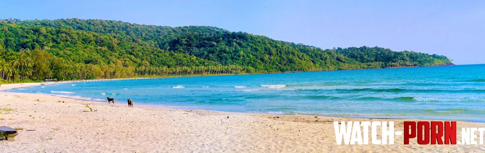 Koh Kood Thailand by Dull_Complex_80