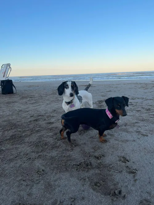 Thumbnail Fun Moments: First Time on the Beach with natalybitch_of