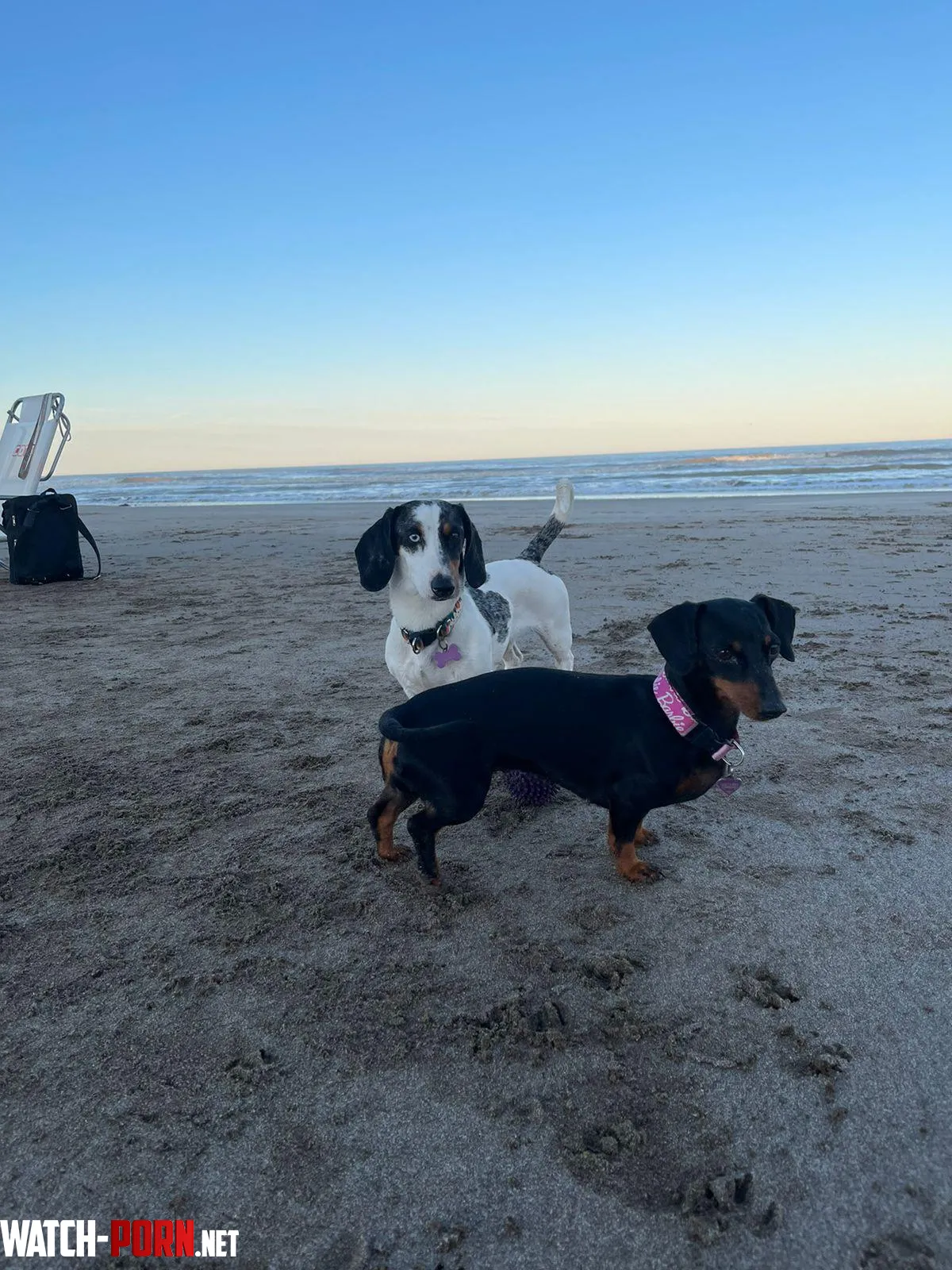 first time on the beach  by natalybitch_of